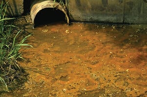 sewage1