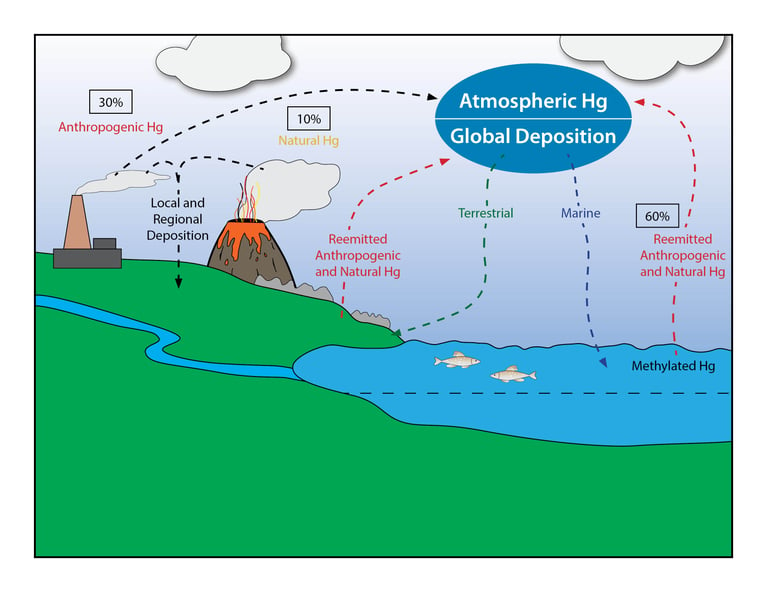 Mercury stored in water and soil